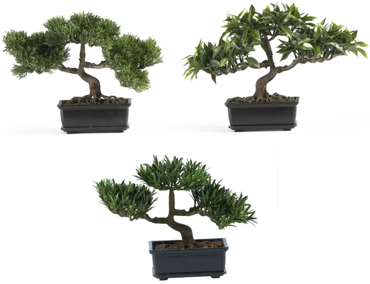 HomPlanti Set of 3 12" Bonsai Silk Plant Collection