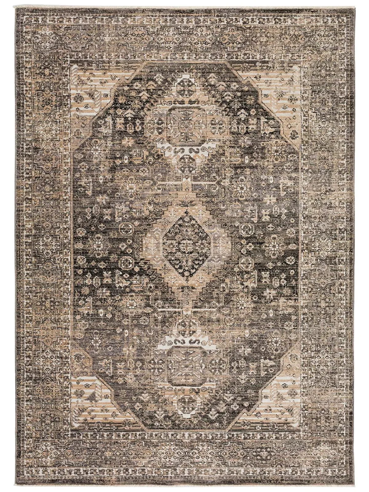 Odessa OD2 Graphite 9' x 12'6" Rug