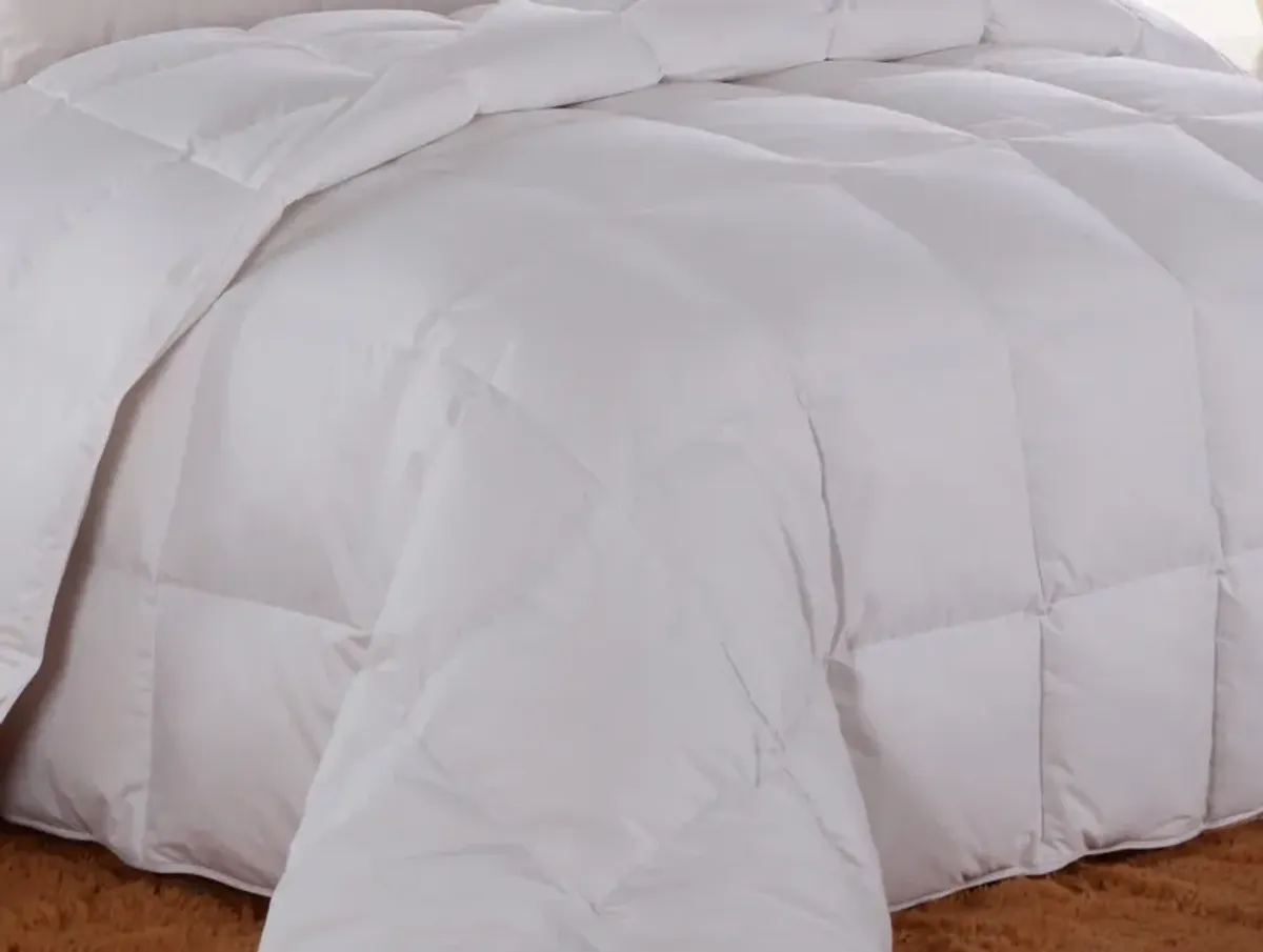 Egyptian Cotton Lightweight Down Comforter Solid Sateen.