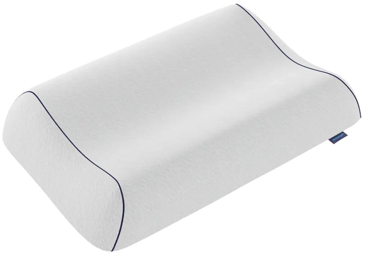 Anatomic King Pillow