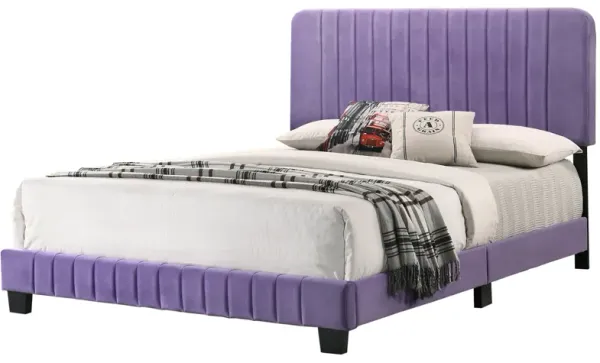 Lodi Velvet Upholstered Channel Tufted Full Panel Bed
