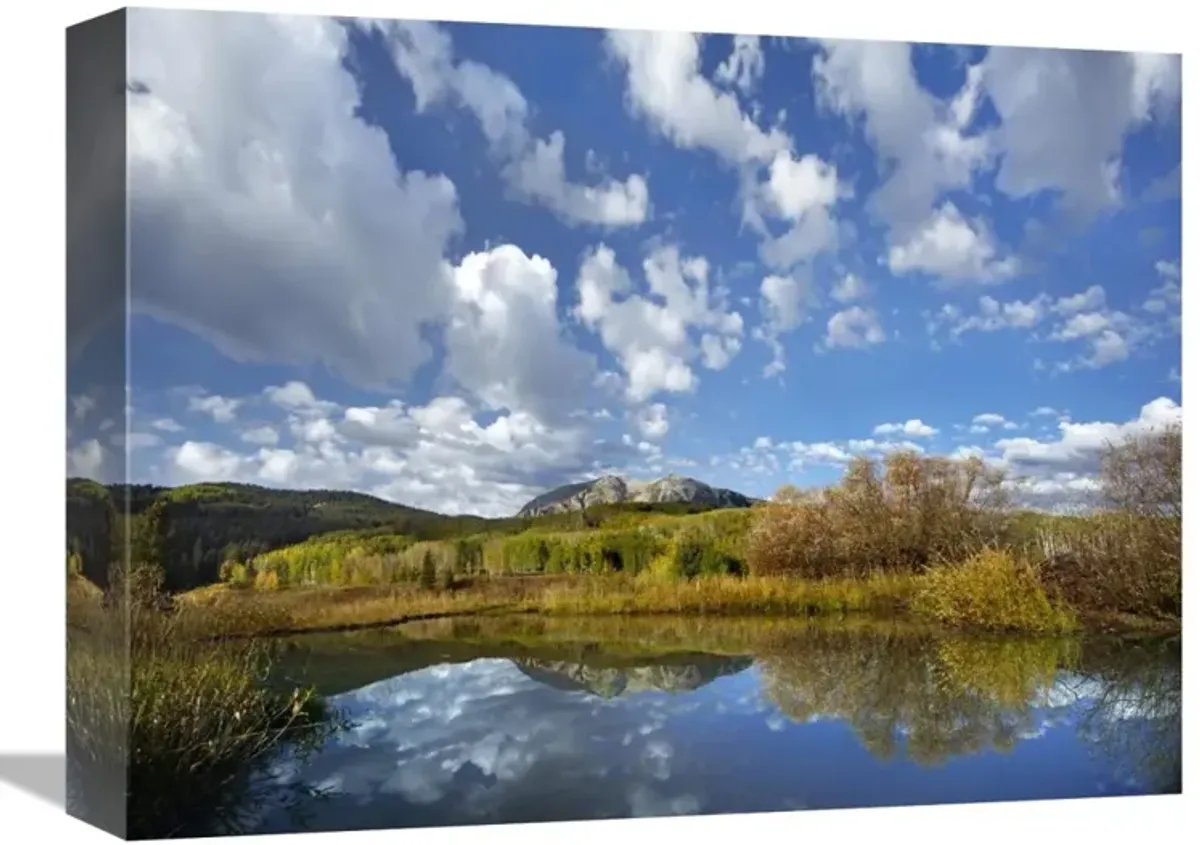 Pond near East Beckwith Mountain, West Elk Wilderness, Colorado-Canvas Art-16x12