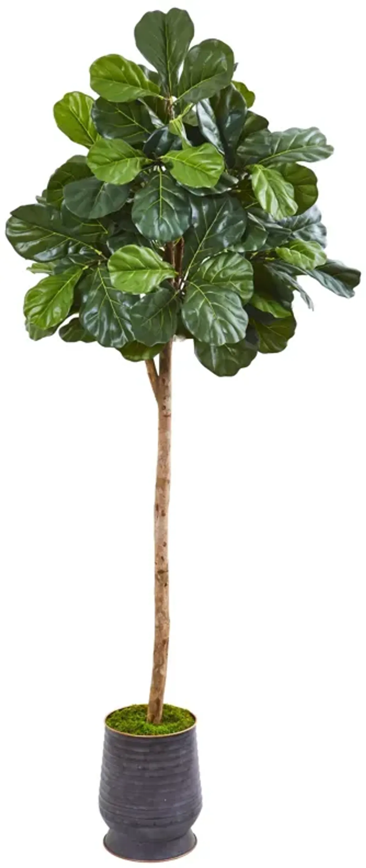 HomPlanti 80 Inches Fiddle Leaf Fig Artificial tree in Ribbed Metal Planter