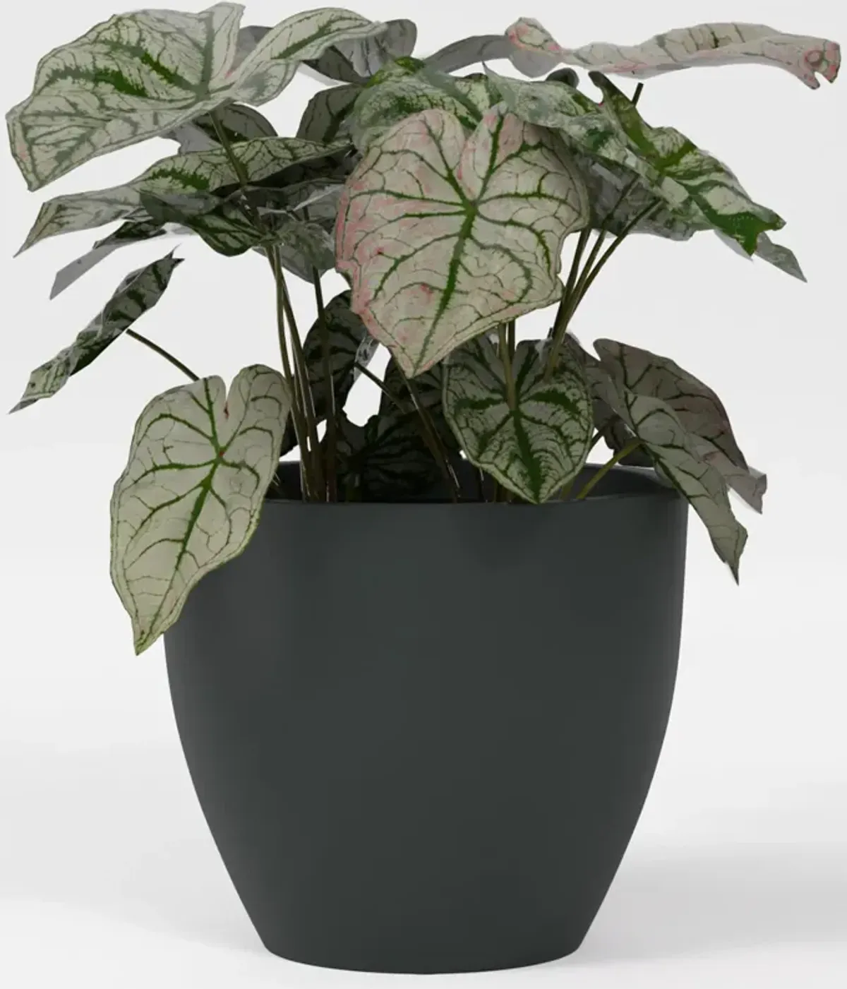 Greenline Fiberglass Lucy Medium Indoor/Outdoor Round Planter.