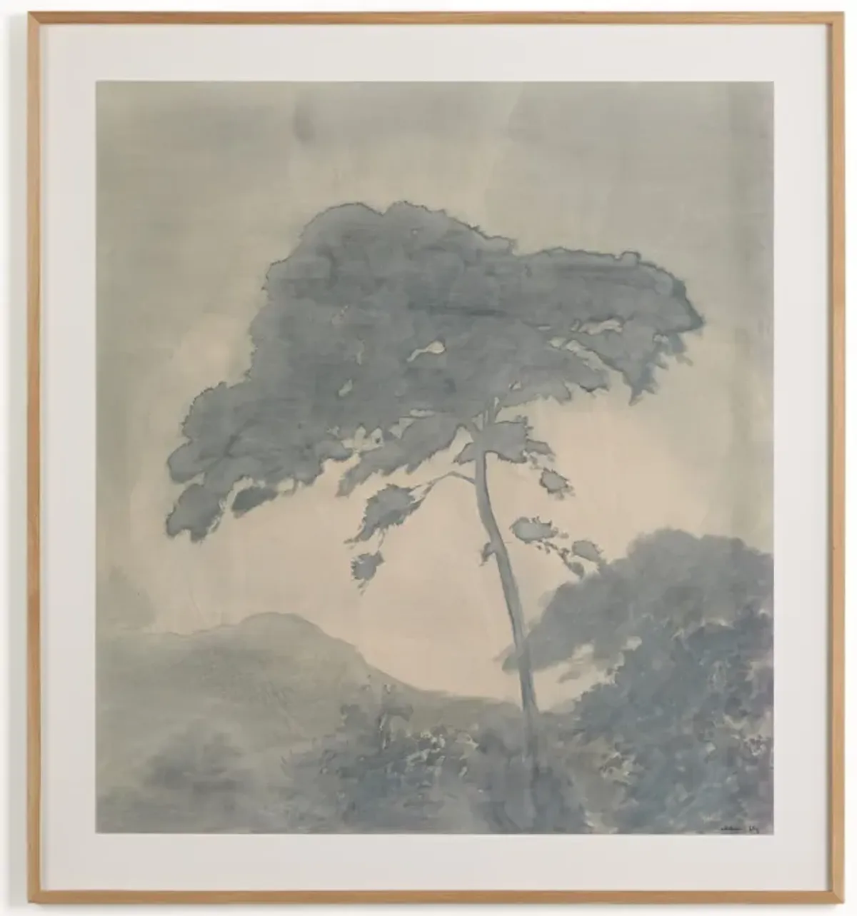 Canopy By Chelsea Fly