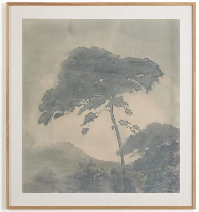 Canopy By Chelsea Fly