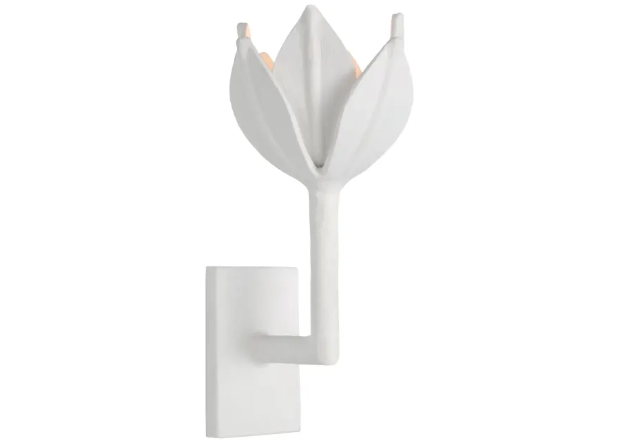 Alberto Small Sconce