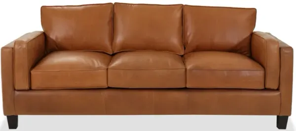 Buttersoft Leather Sofa