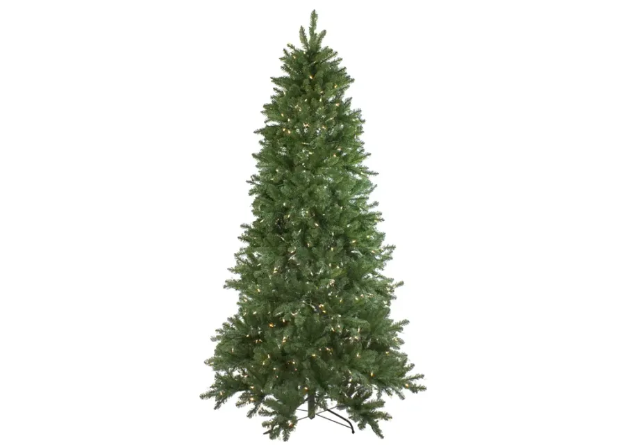 12' Pre-Lit Instant Connect LED Neola Fraser Fir Artificial Christmas Tree - Multicolor Lights