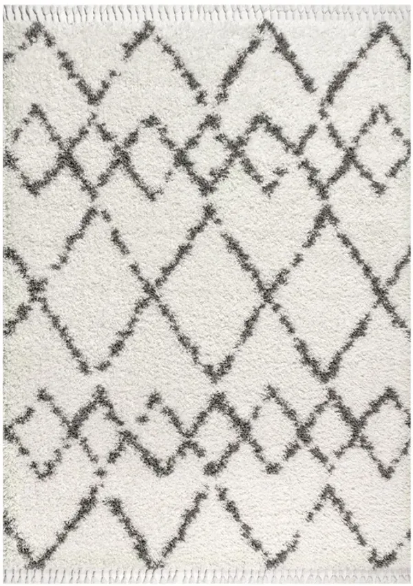 Mercer Shag Plush Tassel Moroccan Tribal Geometric Trellis Area Rug