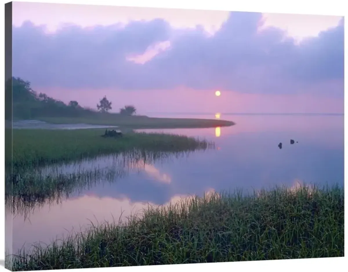 Marsh at sunrise over Eagle Bay, St Joseph Peninsula, Florida-Canvas Art-40x30