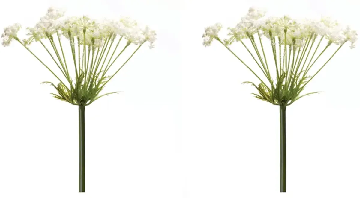 Queen Anne's Lace Stem Set of 2 for Floral Arrangements and Home Decor