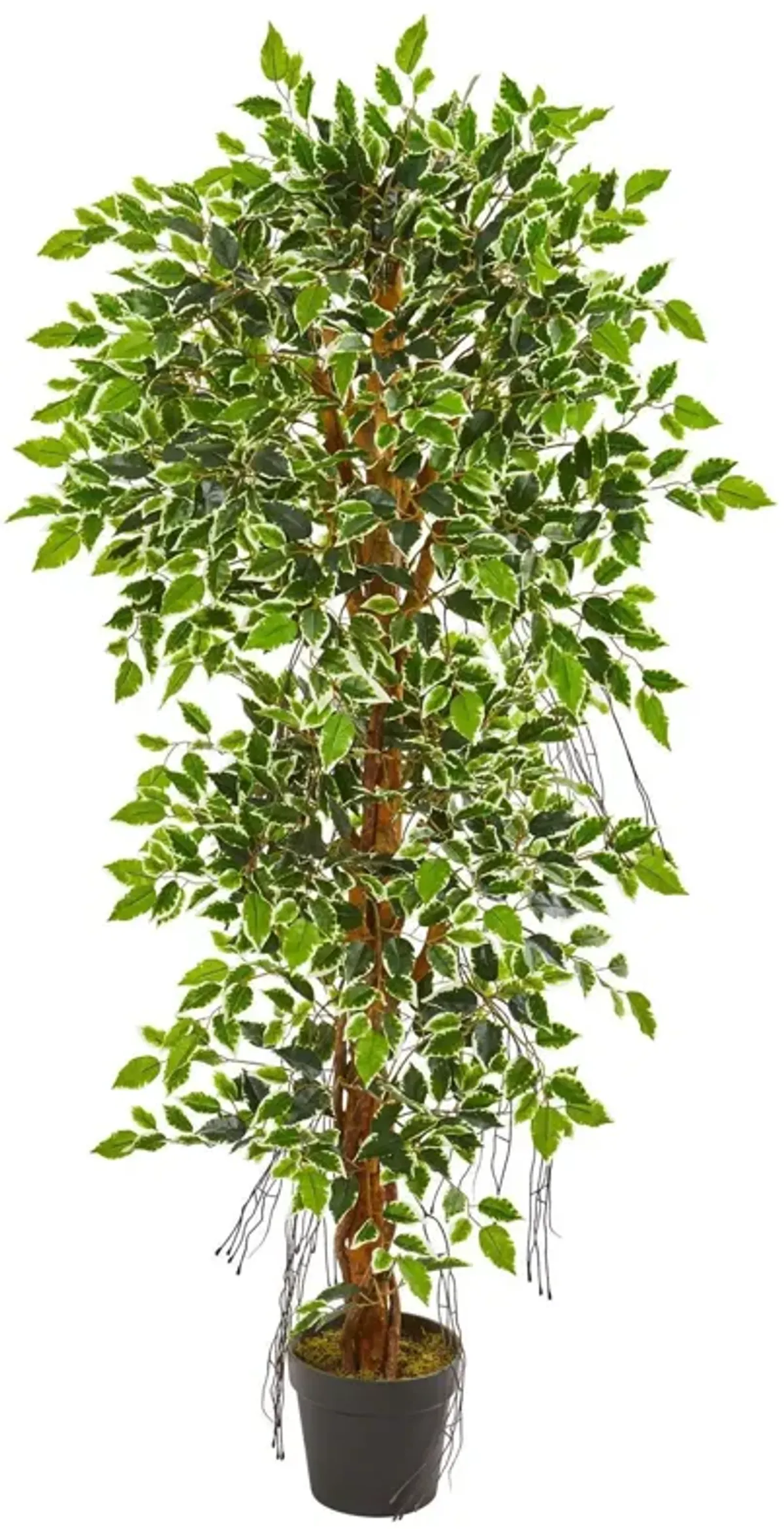 Nearly Natural 5-ft Elegant Ficus Artificial Tree