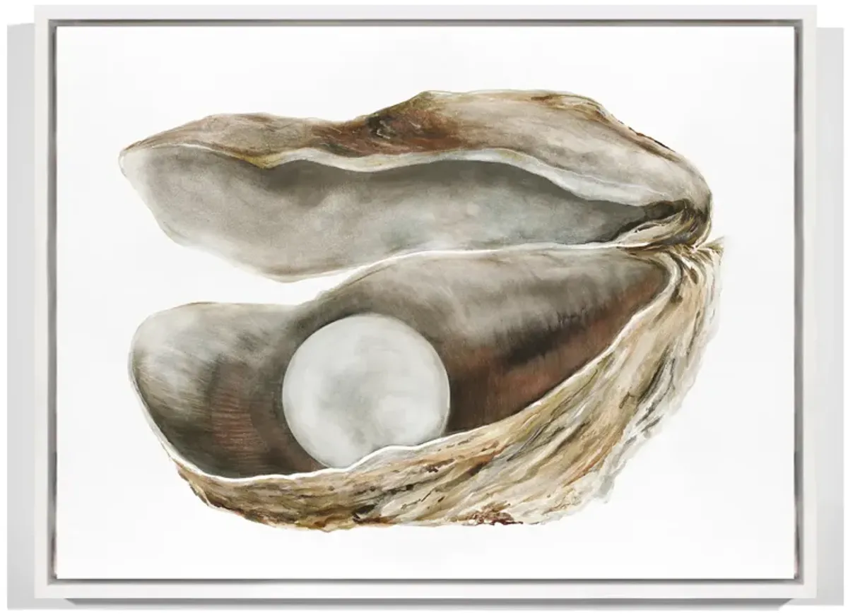 Oyster 4