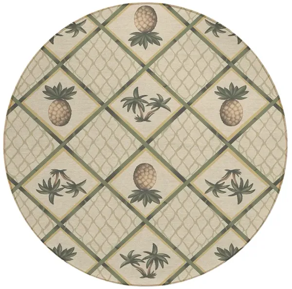 Kendall KE7 Beige 8' Rug