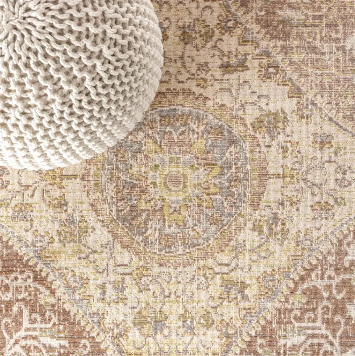 Petras Modern Ornate Medallion Area Rug