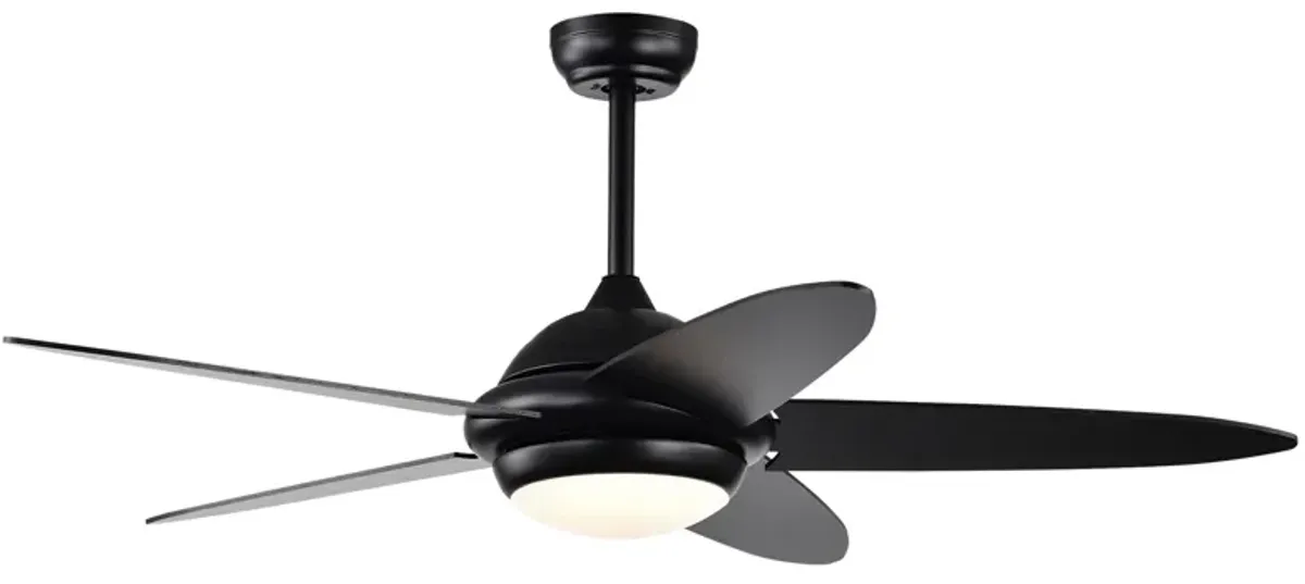 Ceiling Fan with Lights and 3 Color Modes for Adjustable Lighting