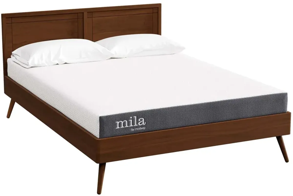 Mila 6" Full Mattress