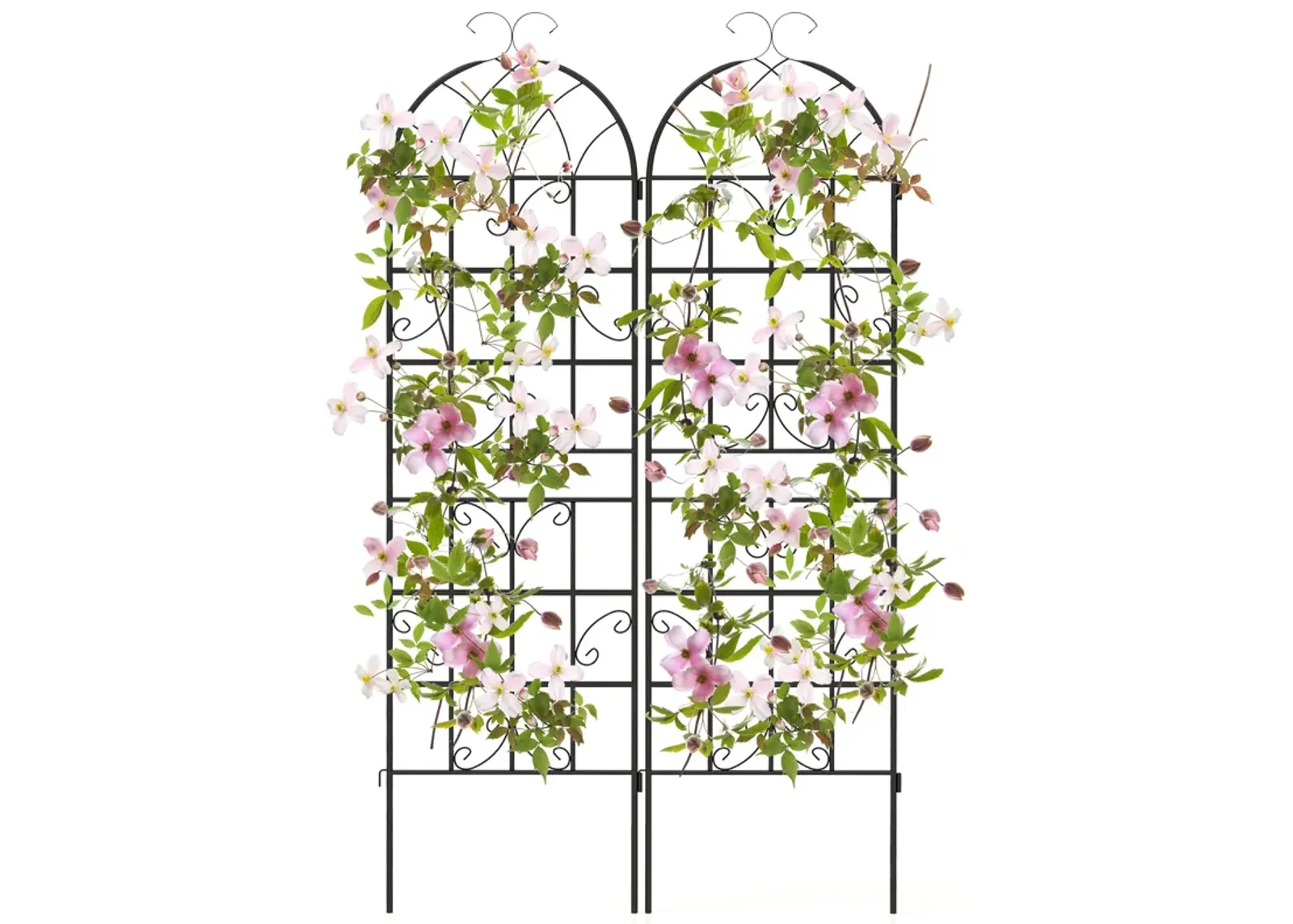 Set of 2 Metal Garden Trellis for Climbing Plants, 71 x 20 Inch Outdoor Support Frame