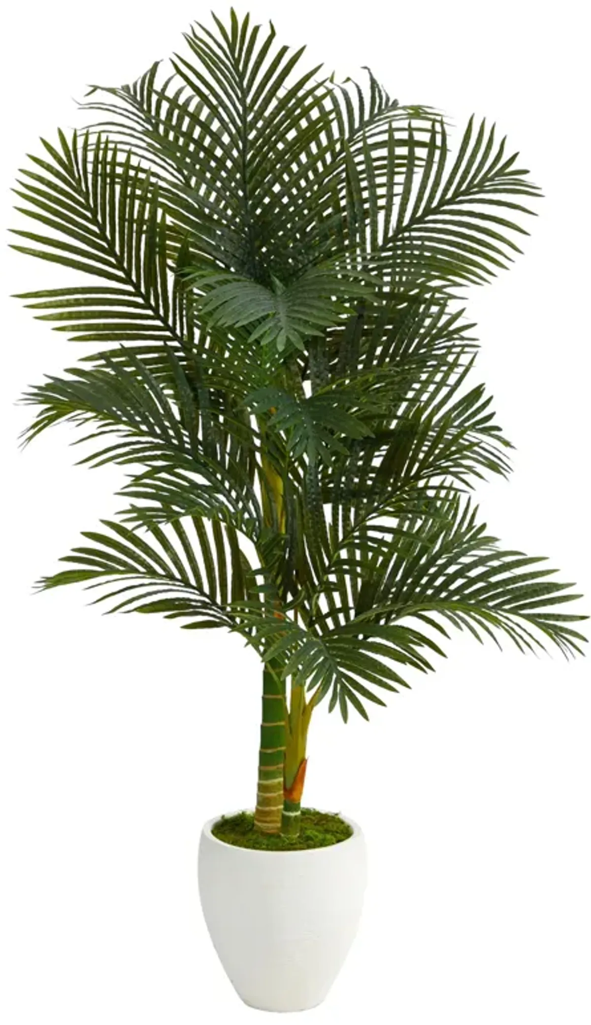 Hivvago 5 Feet Paradise Palm Artificial Tree in White Planter