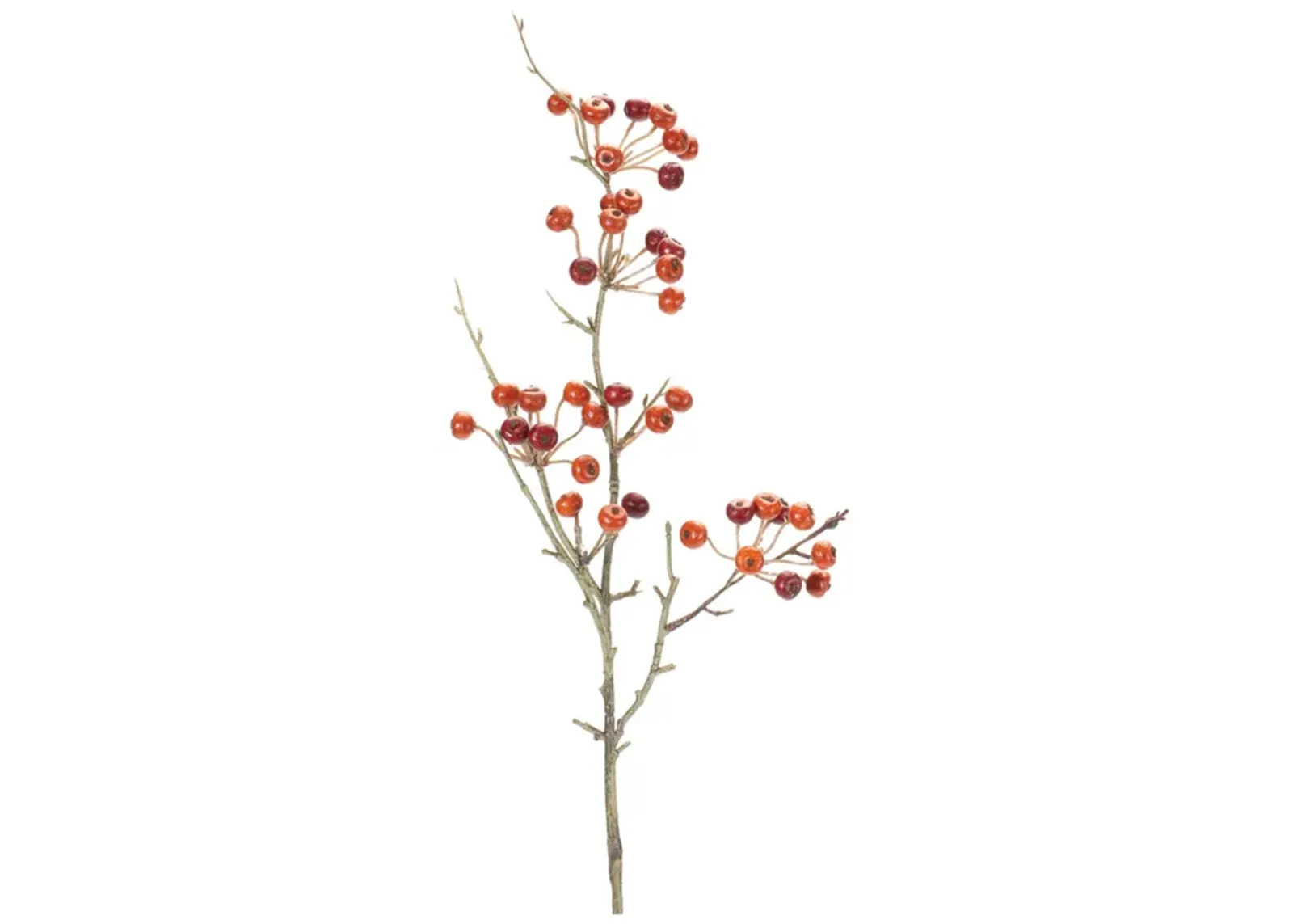 Variegated Berry Pod Spray (Set of 12)