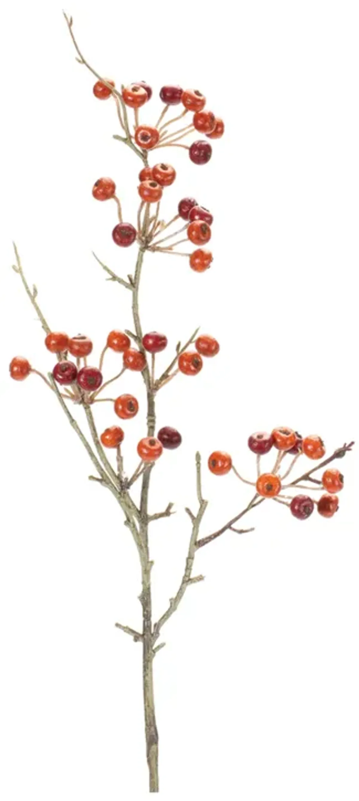 Variegated Berry Pod Spray (Set of 12)