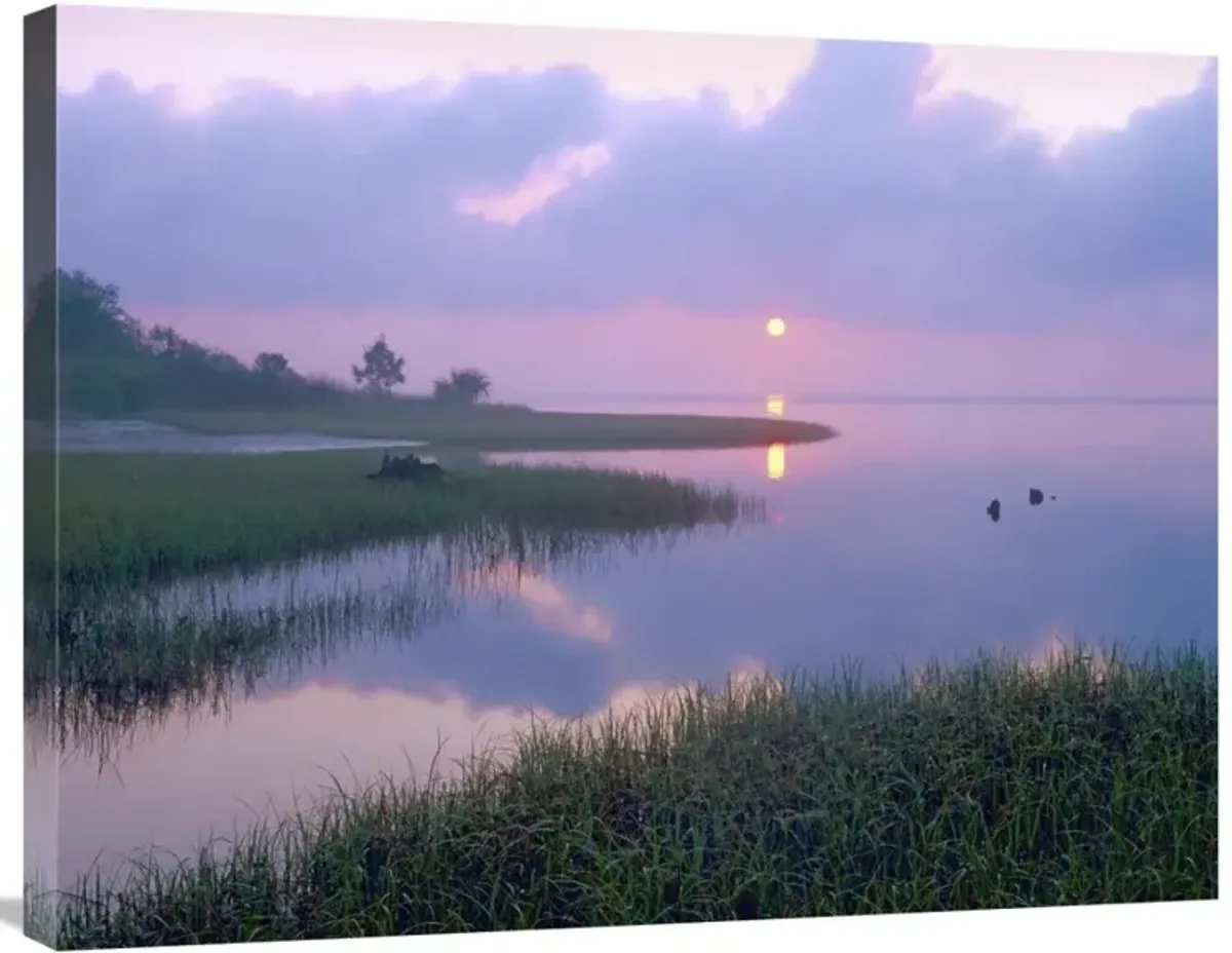Marsh at sunrise over Eagle Bay, St Joseph Peninsula, Florida-Canvas Art-32x24
