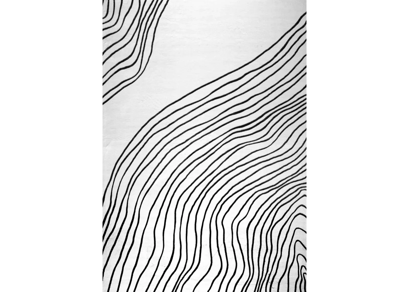 Eclipse Minimalist Abstract Zebra Print White Black Indoor Soft Area Rug