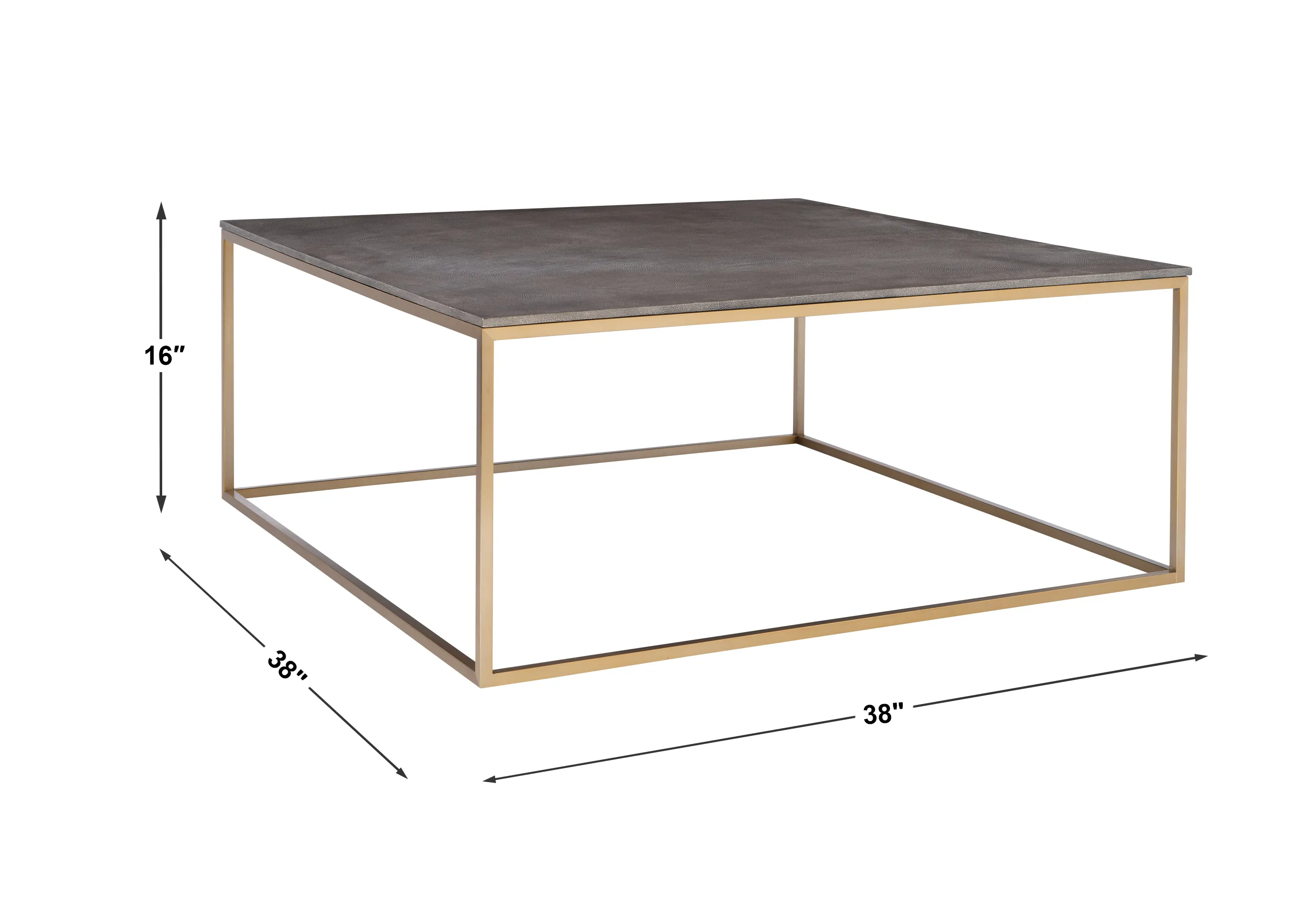 Trebon Modern Coffee Table