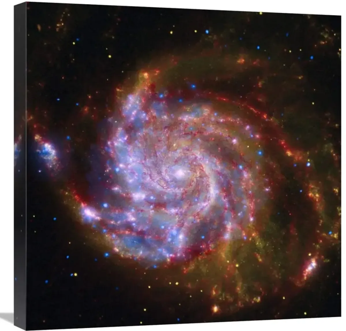 Spitzer-Hubble-Chandra Composite of M101-Canvas Art-24x24