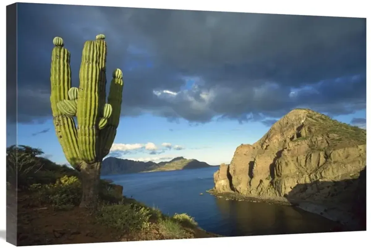 Danzante Island, Sea of Cortez, Baja California, Mexico-Canvas Art-30x20