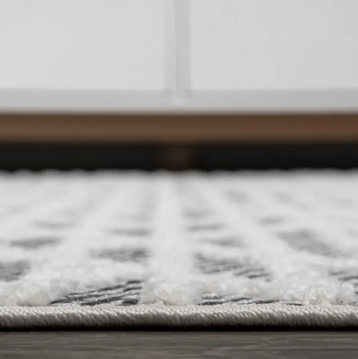 Ararat High-Low Pile Moroccan Diamond Modern Indoor/Outdoor Area Rug