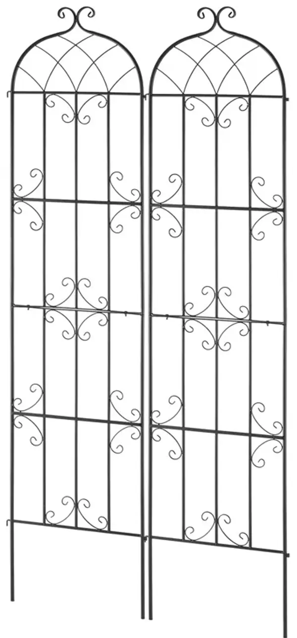 Garden Trellis for Climbing Plants – 2-Pack Rustproof Metal Support for Raised Beds and Pots