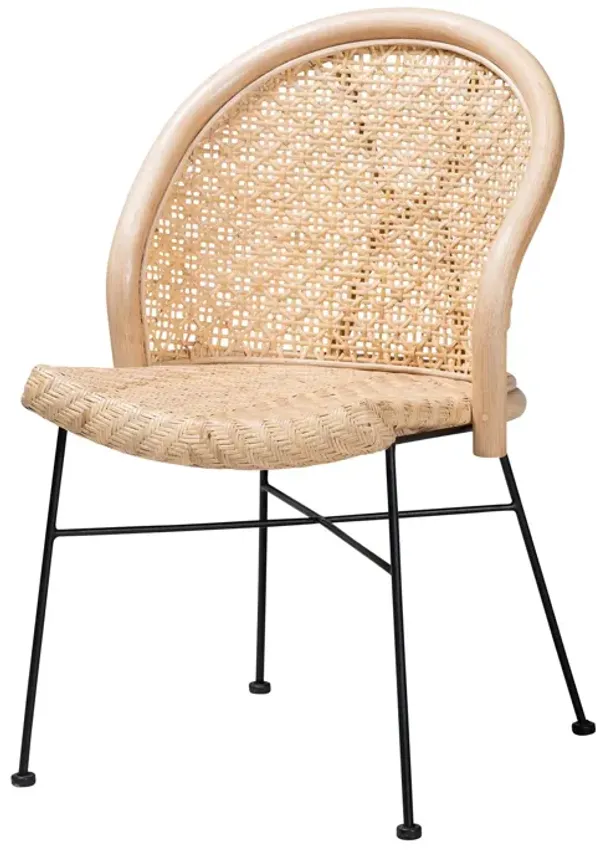 Bali & Pari Lisa Modern Bohemian Natural Brown Rattan and Black Metal Dining Chair