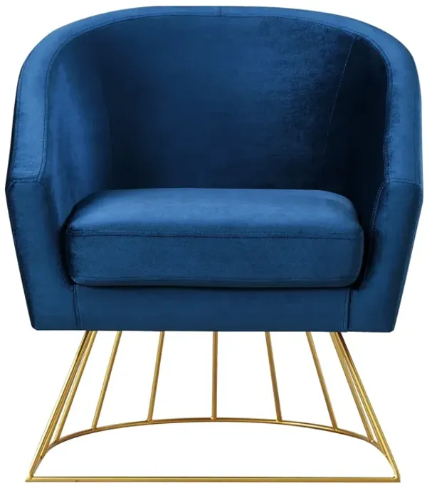 Inspired Home Glenda Velvet Accent Chair