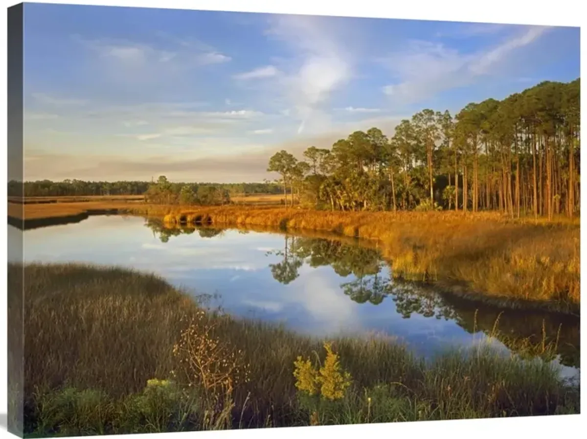 Lake near Apalachicola, Florida-Canvas Art-32x24