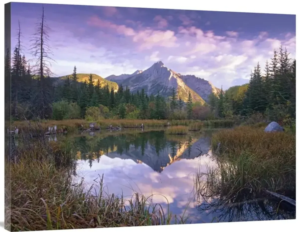 Mount Lorette and spruce trees reflected in lake, Alberta, Canada-Canvas Art-40x30