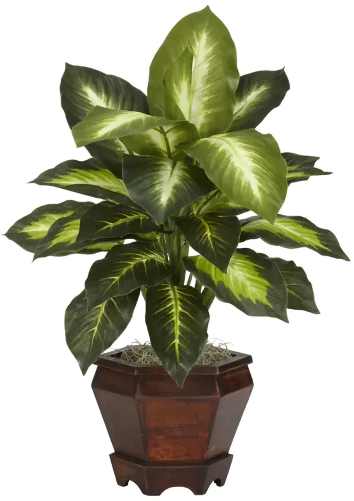 Hivvago Dieffenbachia w/Wood Vase Silk Plant (Set of 2) - Variegated