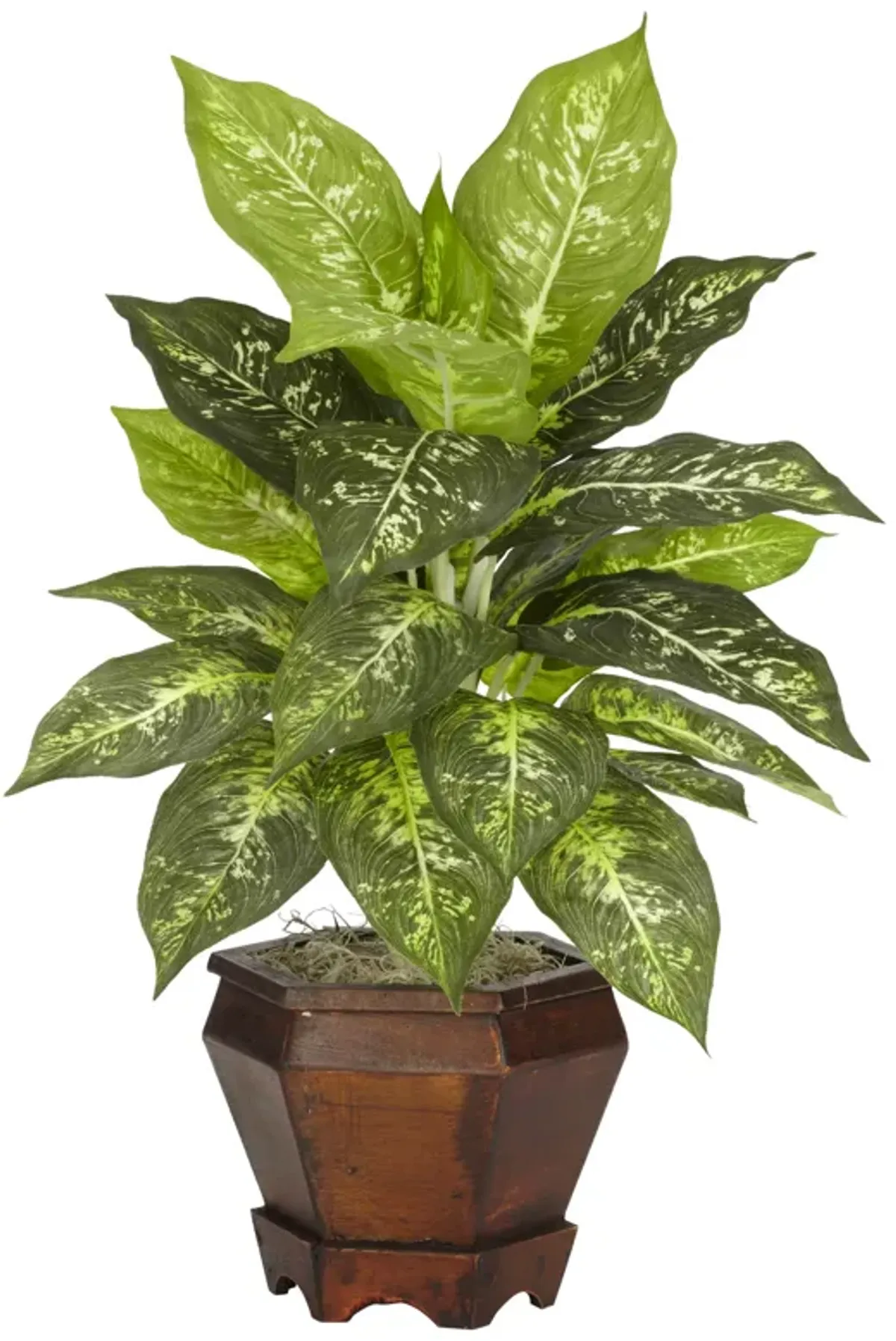 Hivvago Dieffenbachia w/Wood Vase Silk Plant (Set of 2) - Variegated