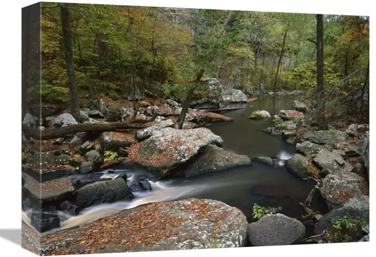 Cedar Creek flowing through deciduous forest, Petit Jean State Park, Arkansas-Canvas Art-16x12