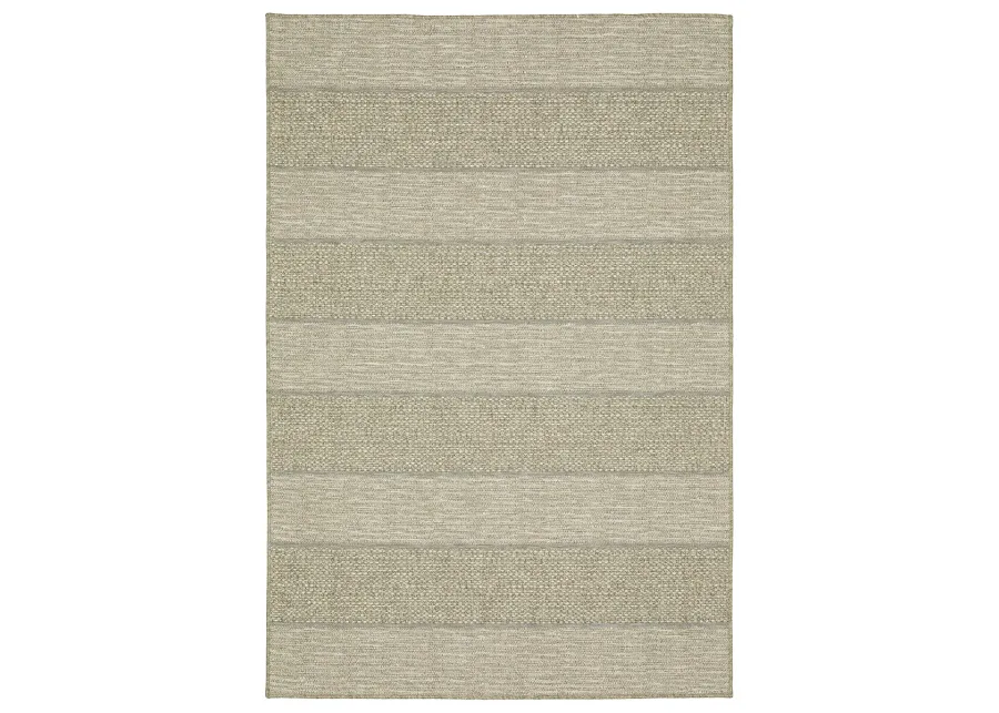 Tortuga 9'10" x 12'10" Beige Rug