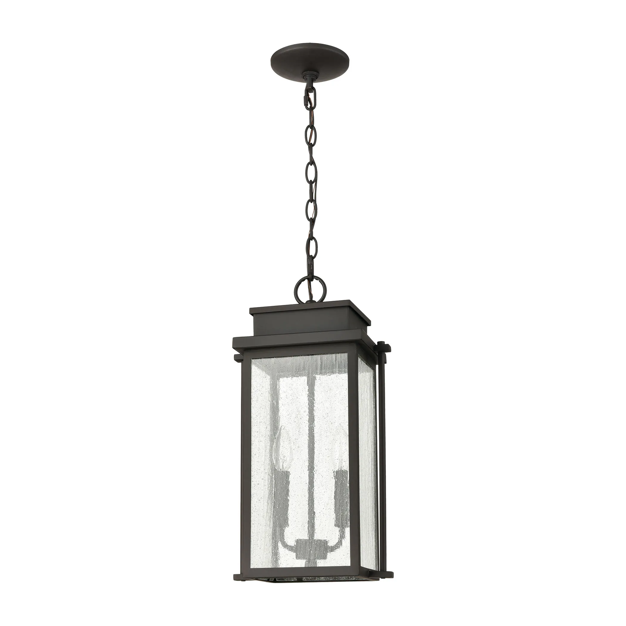 Braddock 10'' Wide 2-Light Outdoor Pendant