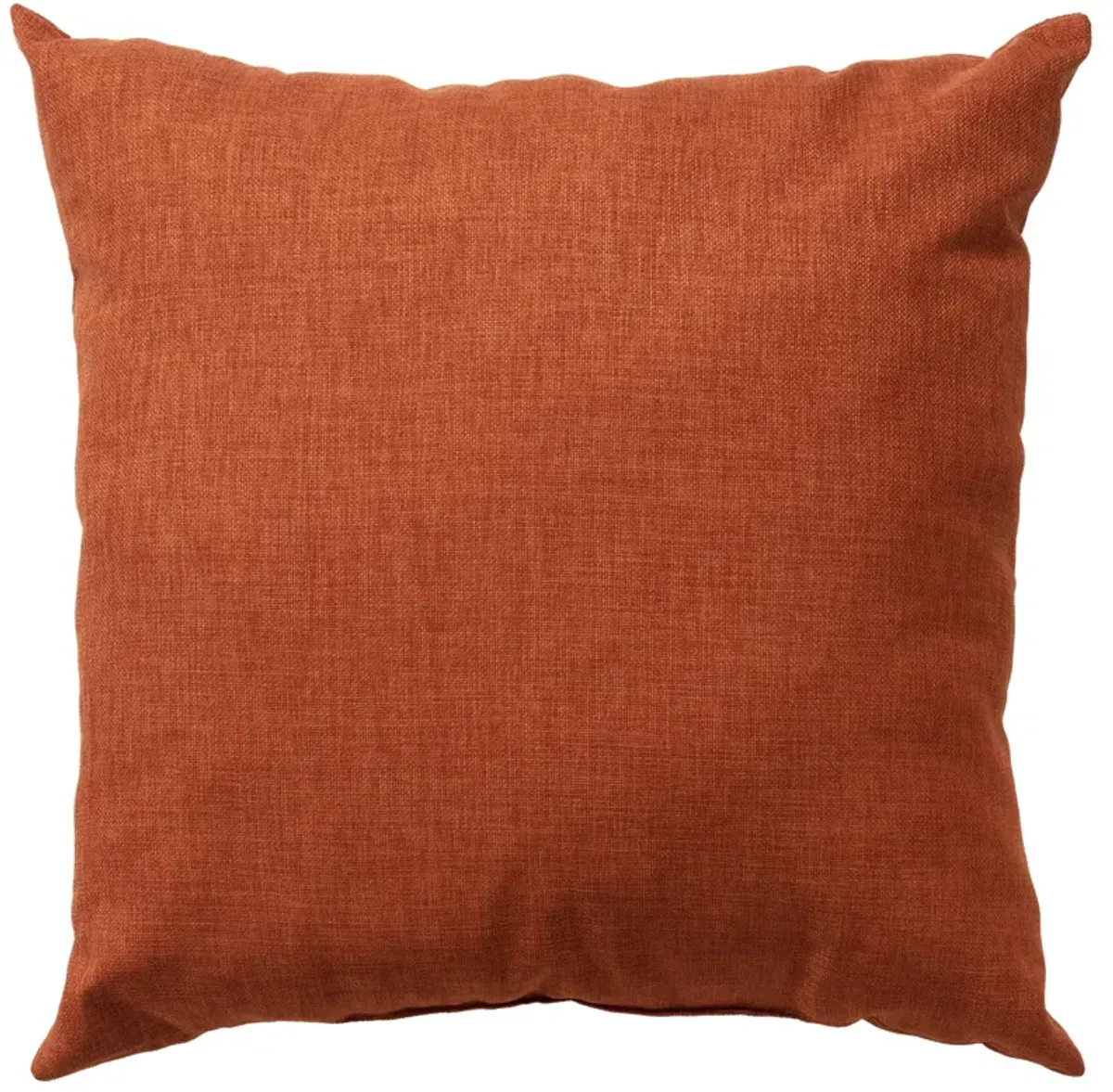 22"x22" Indoor/Outdoor Pillow