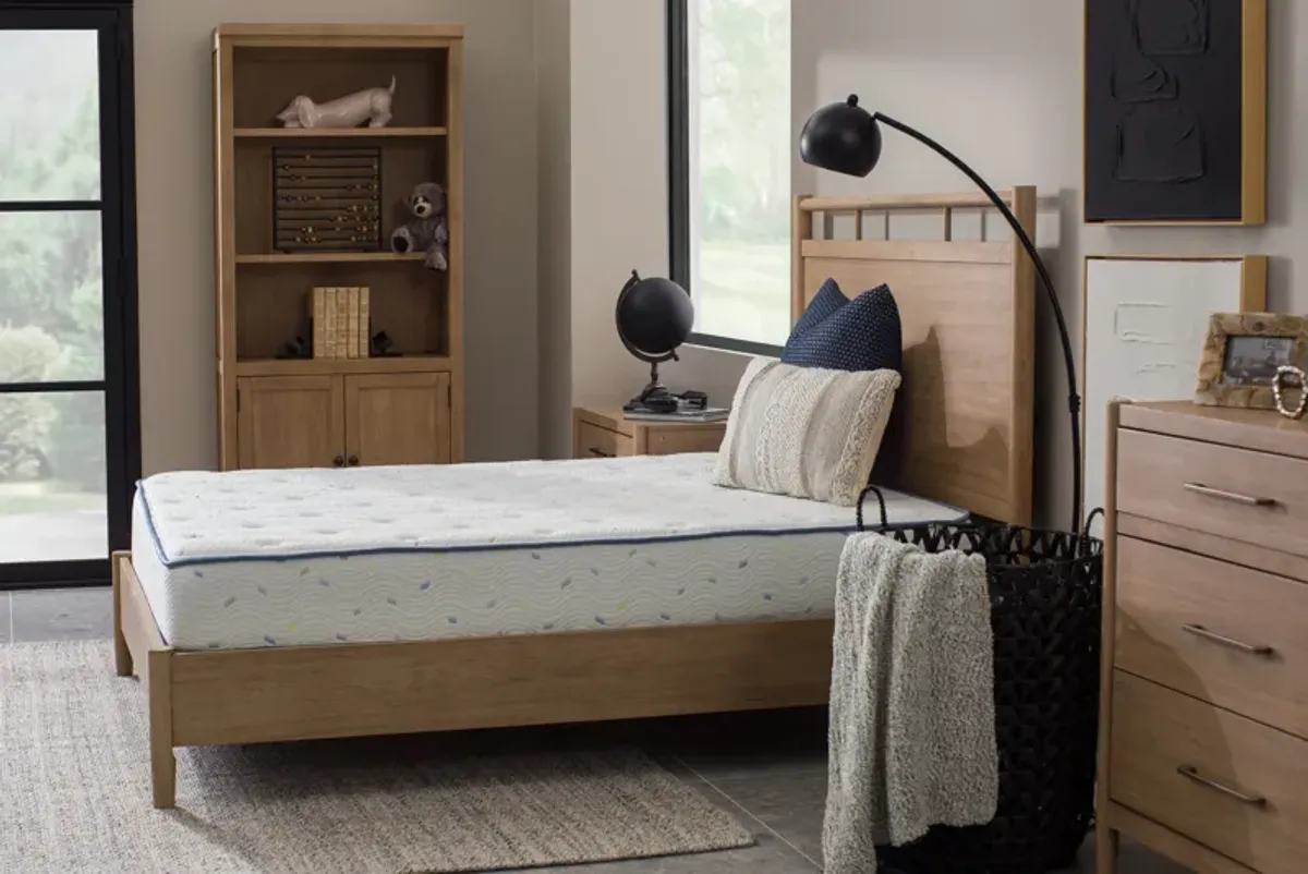 Eco Kids Twin Mattress