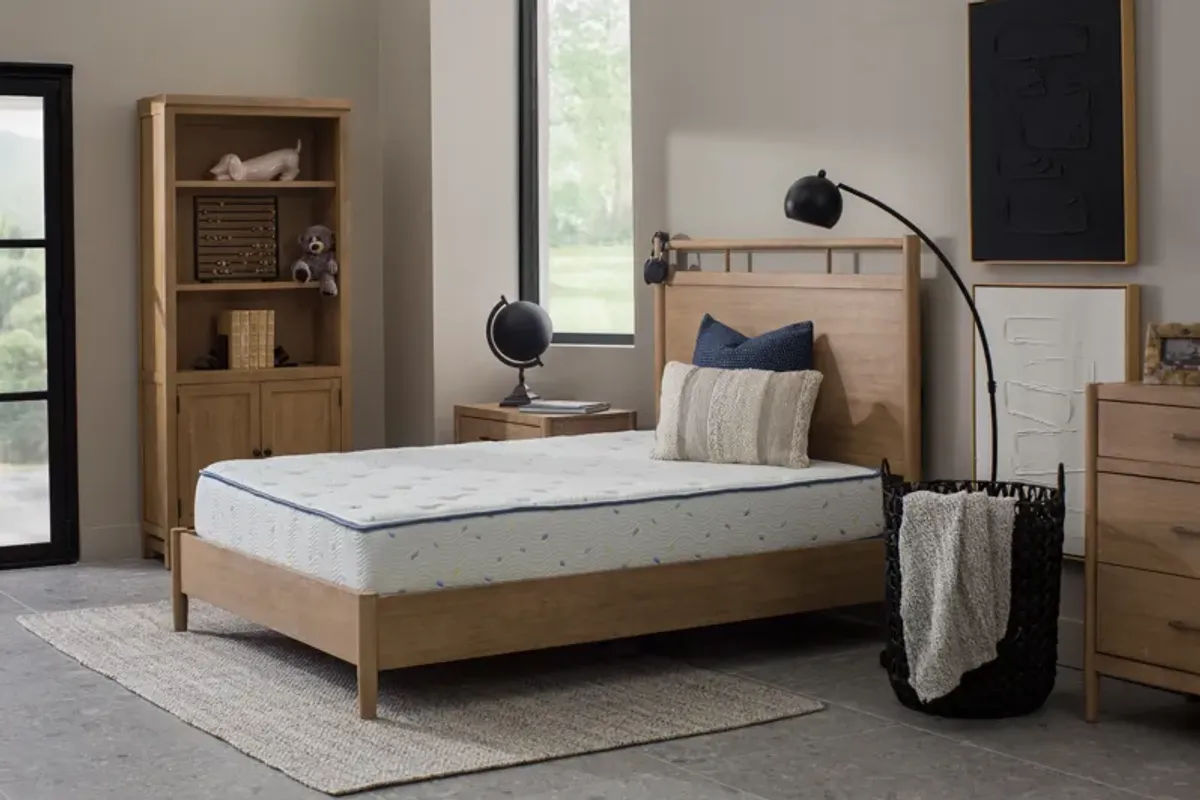 Eco Kids Twin Mattress
