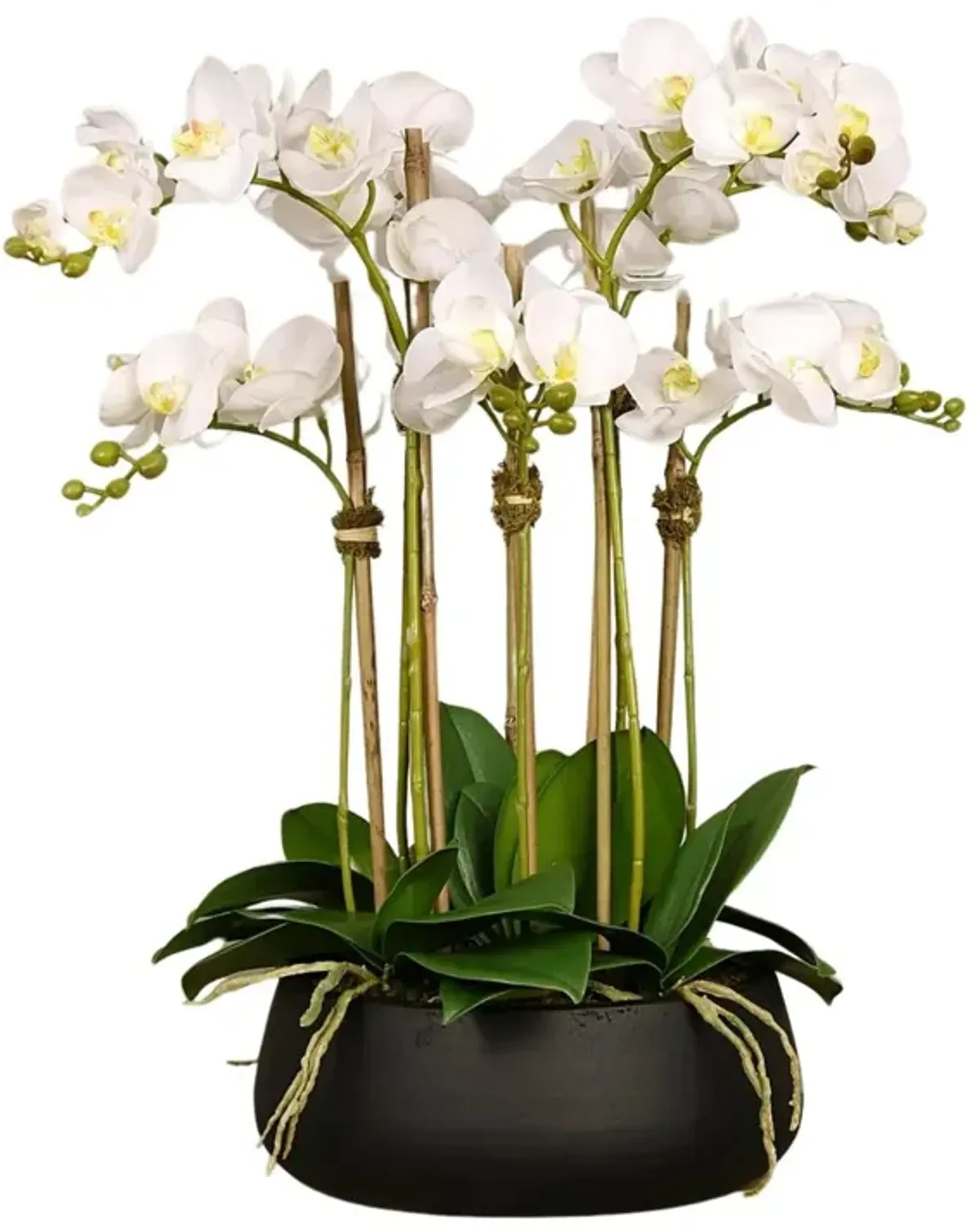 Faux floral arrangement - white orchid centerpiece in black vase