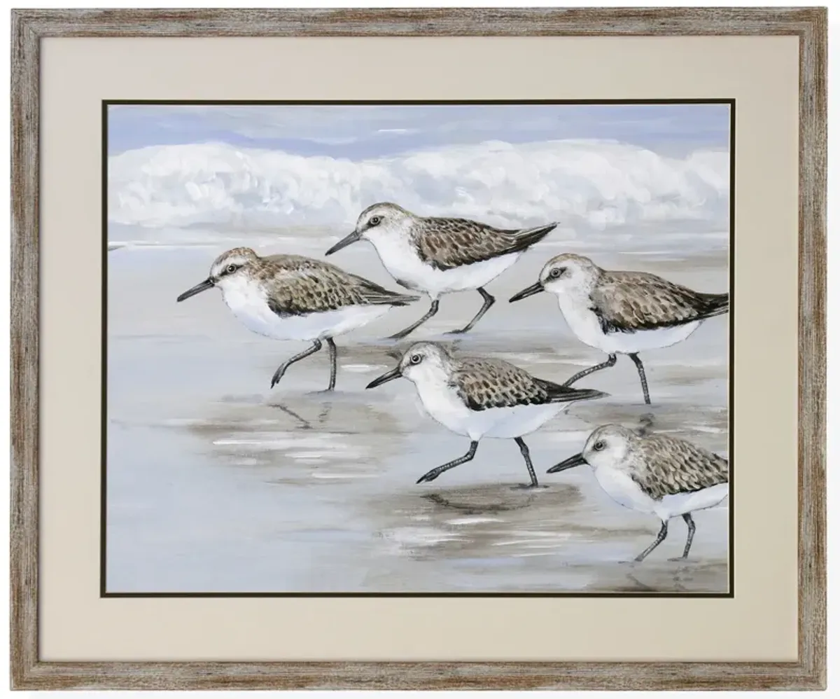 Framed Print Under Glass 28