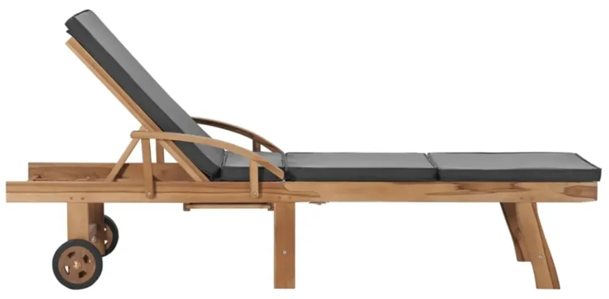 vidaXL Sun Lounger with Cushion Solid Teak Wood Dark Gray