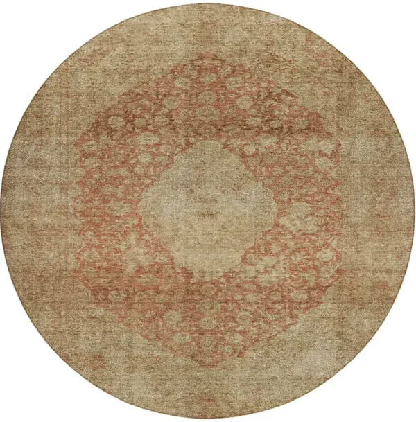 Tabrook TB13 Paprika 8' Round Rug