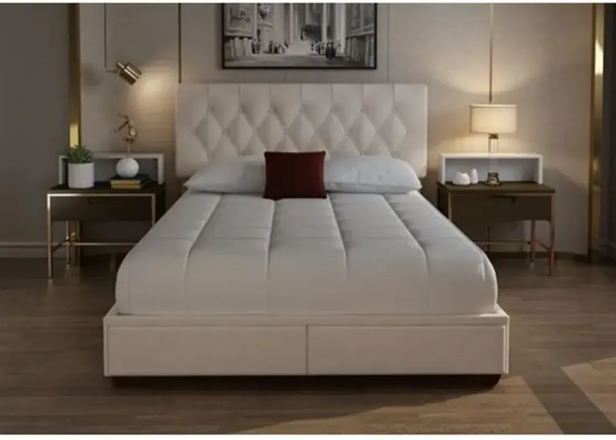 Bernards Skylaupholstered King Storage Bed In A Box